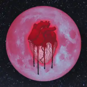 Chris Brown - Lost & Found